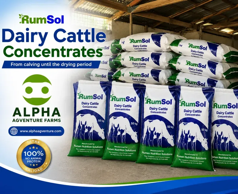 Buy Rumsol Dairy Cattle Concentrates for Sale at Alpha Agventure Farms