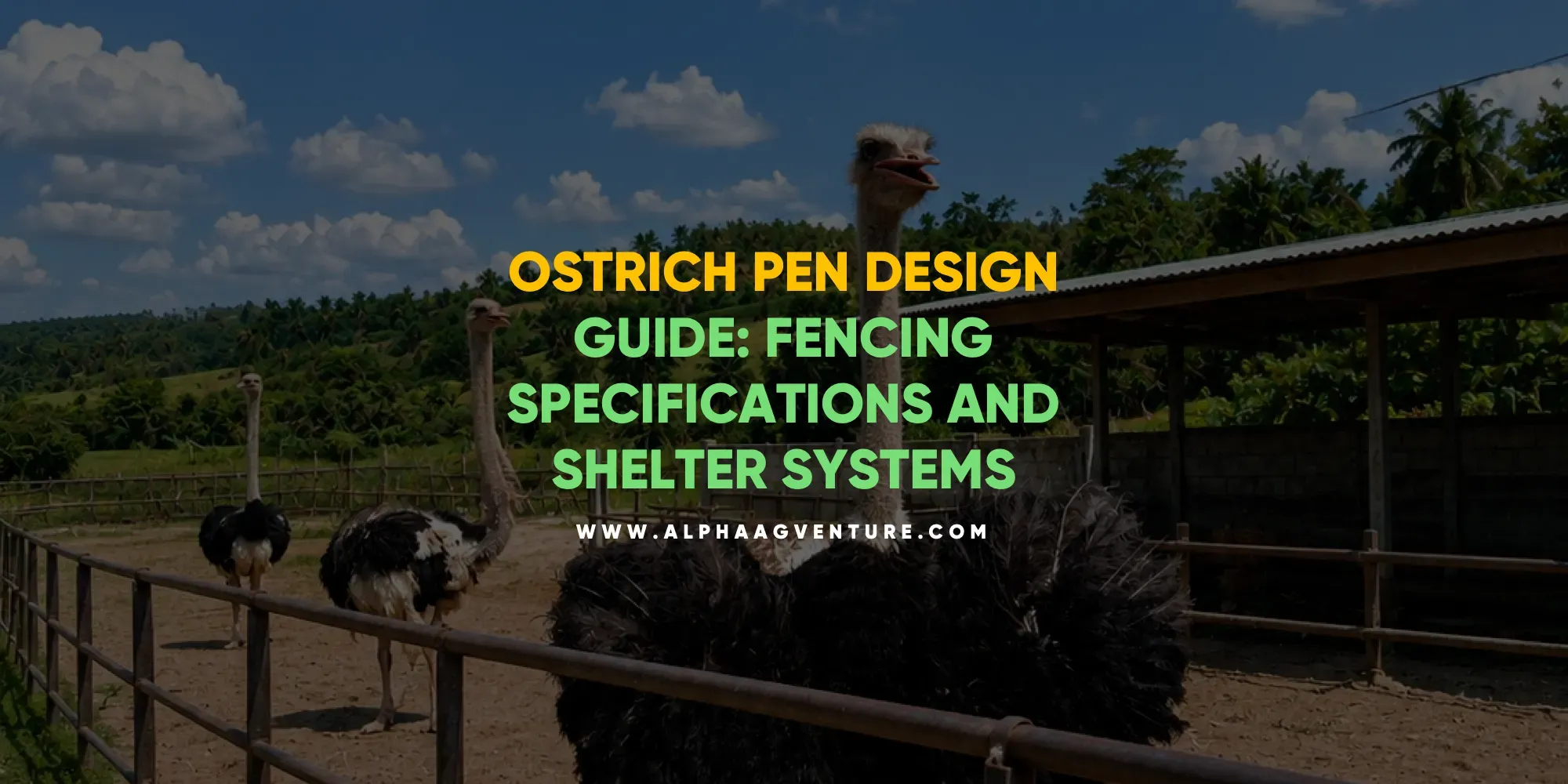 Ostrich Pen Design Guide – Fencing Specifications and Shelter Systems 1 Ostrich Pen Design Guide - Fencing Specifications and Shelter Systems