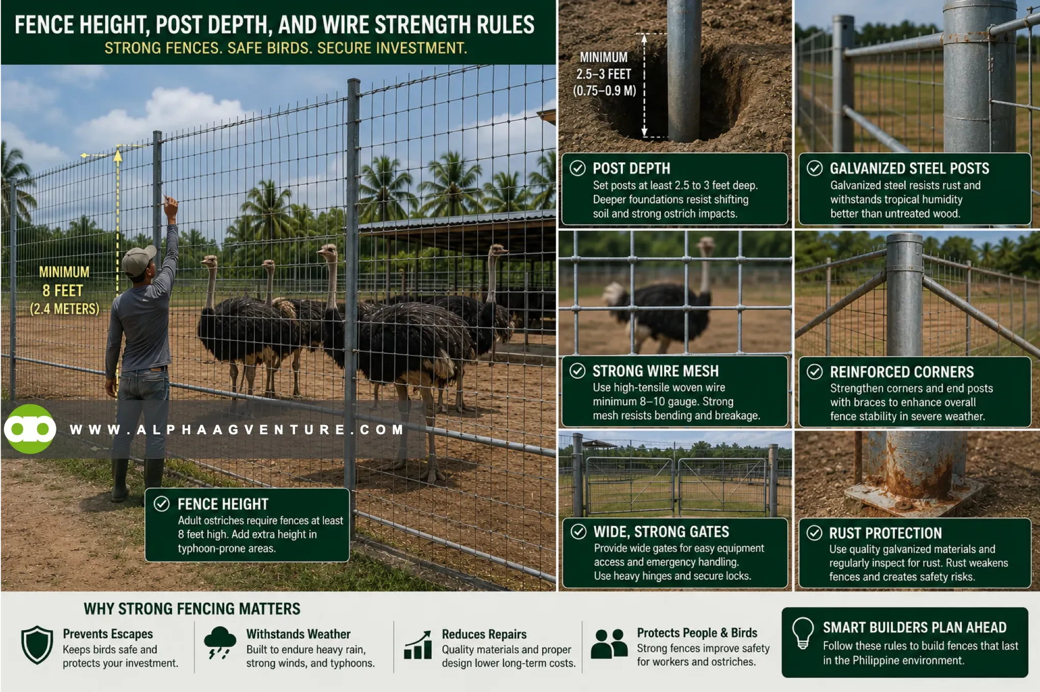 Ostrich Pen Design Guide: Fencing Specifications and Shelter Systems