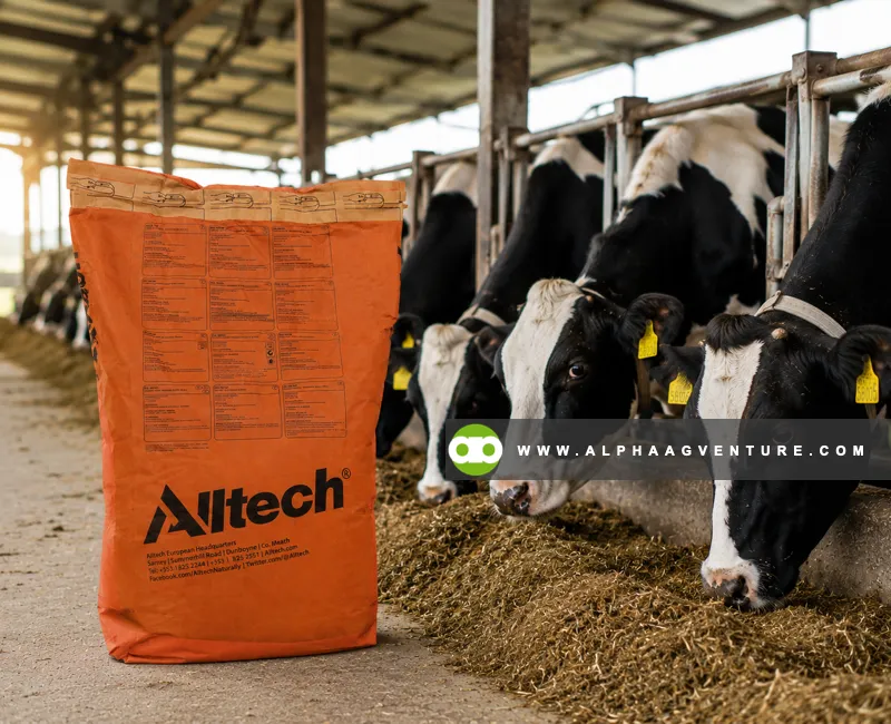 Buy Alltech Bioplex High Five for Sale at Alpha Agventure Farms