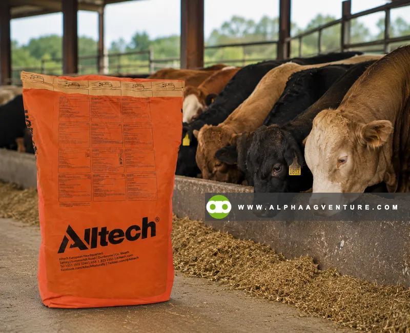 Buy Alltech Bioplex High Five for Sale at Alpha Agventure Farms