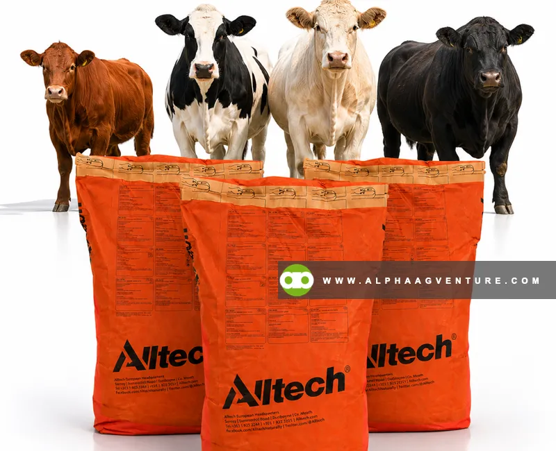 Buy Alltech Bioplex High Five for Sale at Alpha Agventure Farms