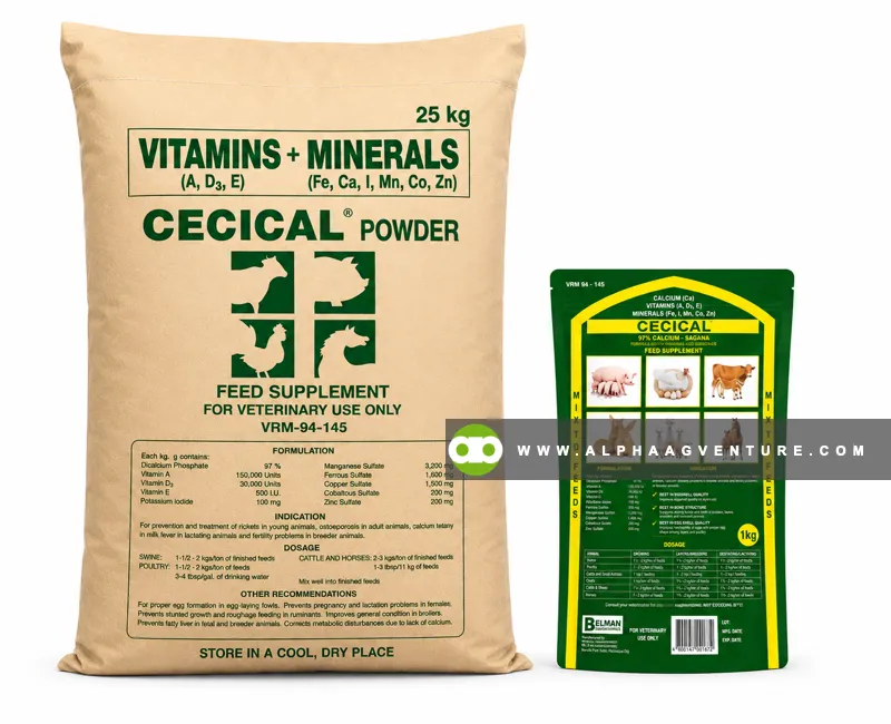 Cecical