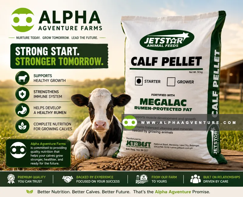 Buy Jetstar Calf Starter Pellet for Sale at Alpha Agventure Farms
