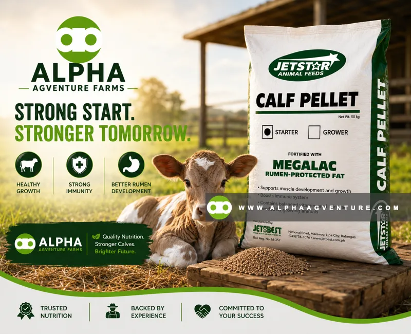 Buy Jetstar Calf Starter Pellet for Sale at Alpha Agventure Farms