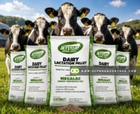Buy Jetstar Dairy Cattle Lactation Pellet for Sale at Alpha Agventure Farms