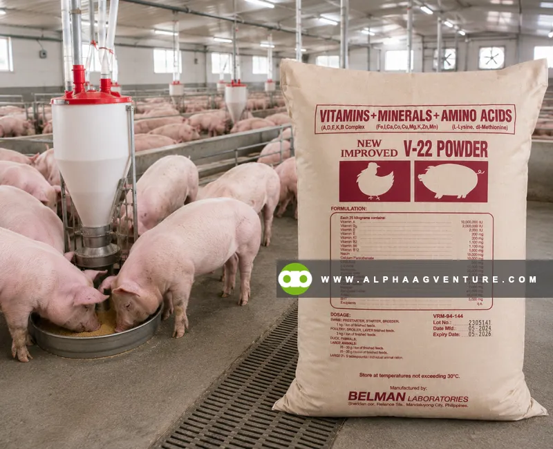 Buy V-22 Powder Feed Supplement for Sale at Alpha Agventure Farms