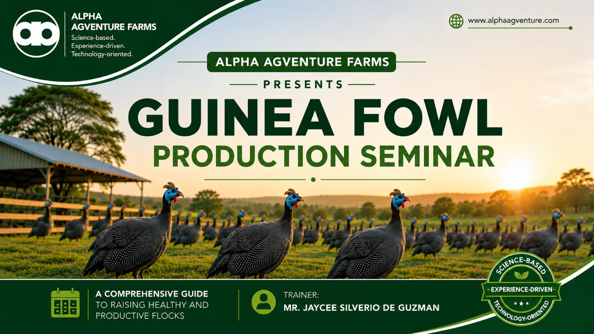 Guinea Fowl Farming by Alpha Agventure Farms
